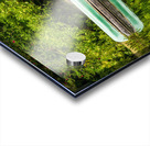 Green canoe on dock reflecting into calm lake or pond in garden Acrylic print