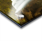 Douglas Falls near Blackwater Canyon trail near Thomas WV Acrylic print