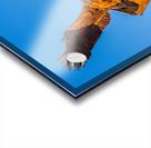 Eagle Landmark sculpture in Riverside Park La Crosse Wisconsin Acrylic print