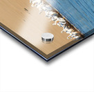 Flock of American white pelicans grouped on sandbank of Mississi Acrylic print