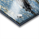 American alligator head in calm waters of Atchafalaya Acrylic print