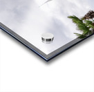 Facade of Cathedral Basilica of Saint Louis in New Orleans LA Acrylic print