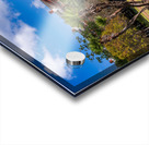 Statue of Major General Andrew Jackson in New Orleans park Acrylic print