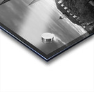 Monochrome view of Cathedral Basilica of Saint Louis Acrylic print