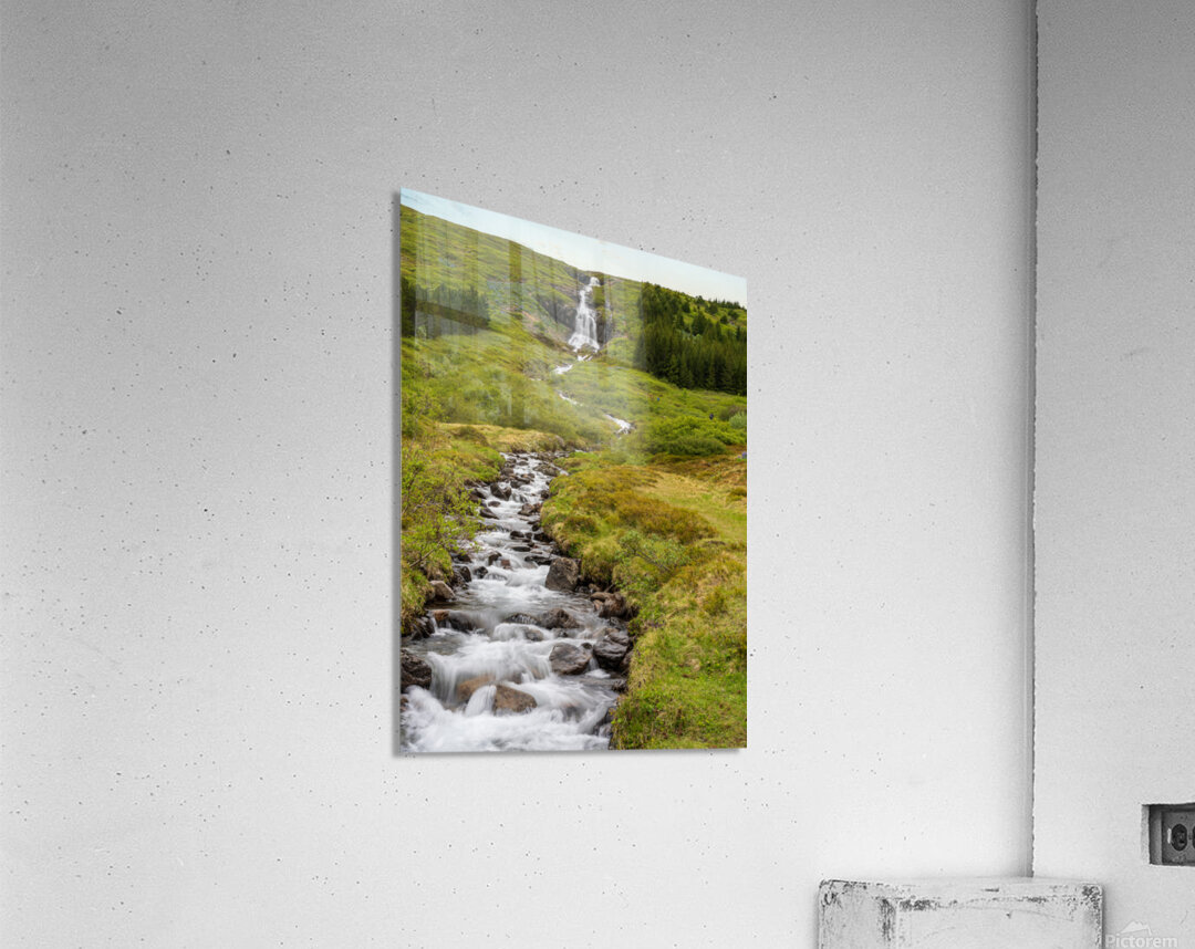 Waterfall in Tunhudalur valley near Isafjordur Iceland with lupi Acrylic Print