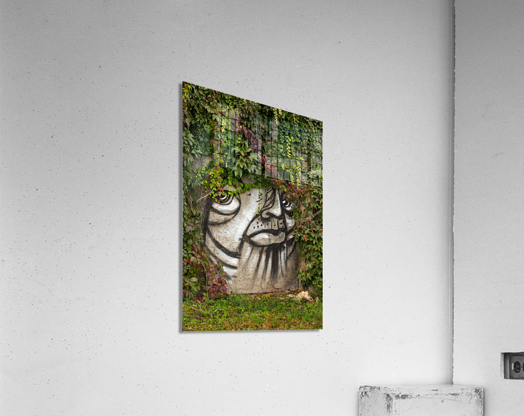 Graffiti on wall of rock like face of cat Acrylic Print