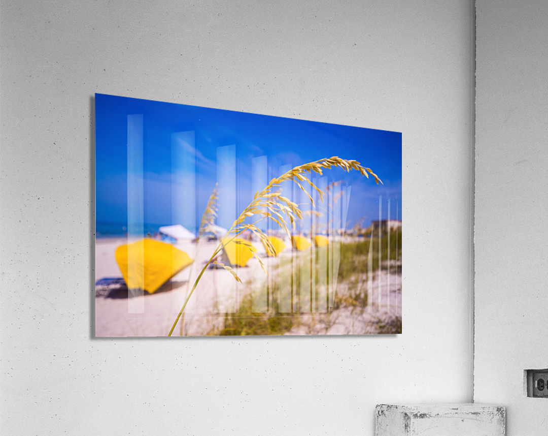 Madiera Beach and sea oats in Florida Acrylic Print