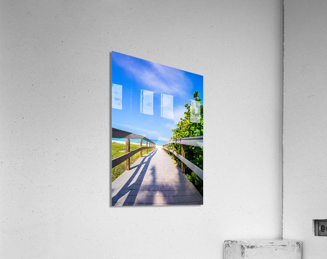 Boardwalk among sea oats to beach in Florida Acrylic Print