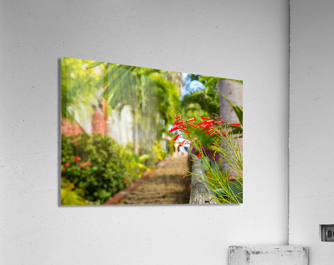 Famous 99 steps Charlotte Amalie Acrylic Print