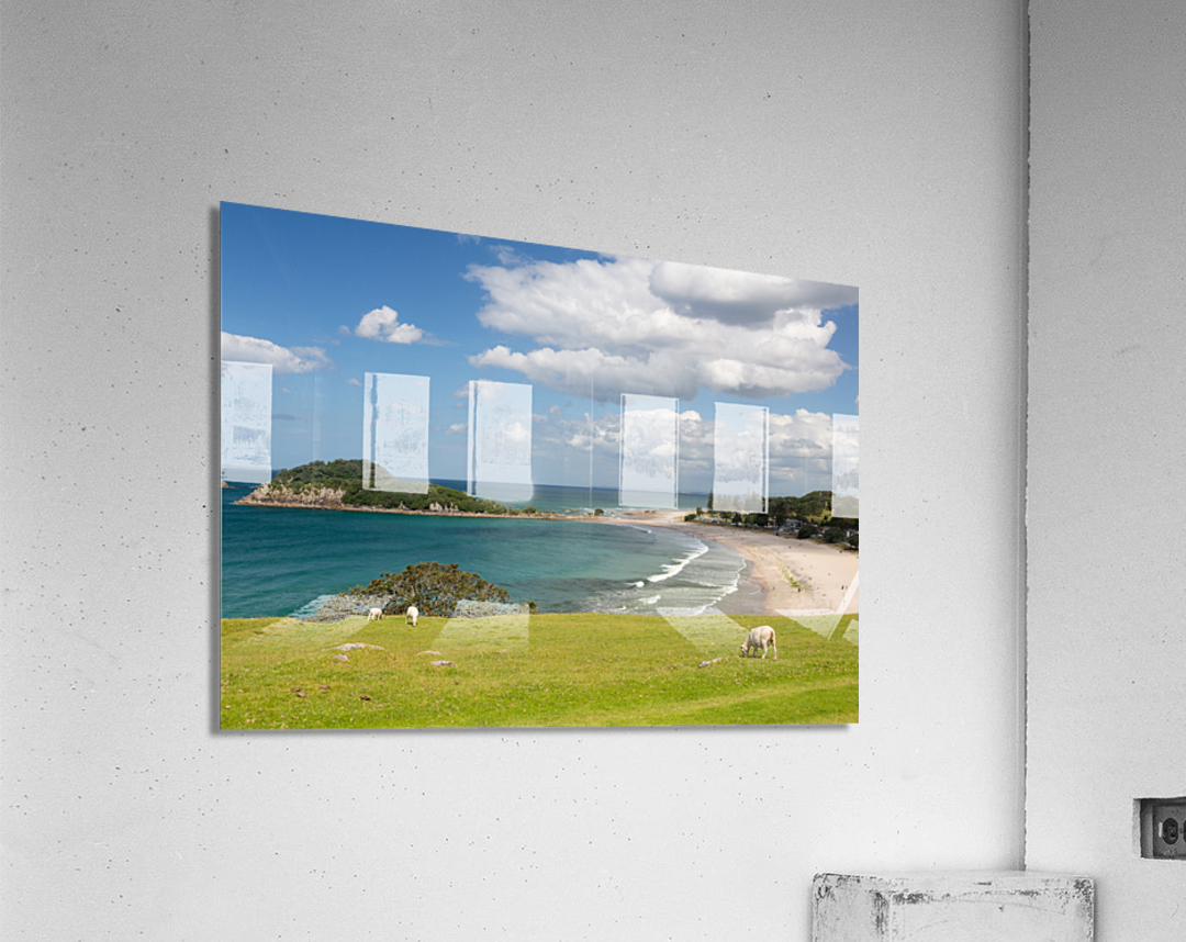 Hike around The Mount at Tauranga in NZ Acrylic Print