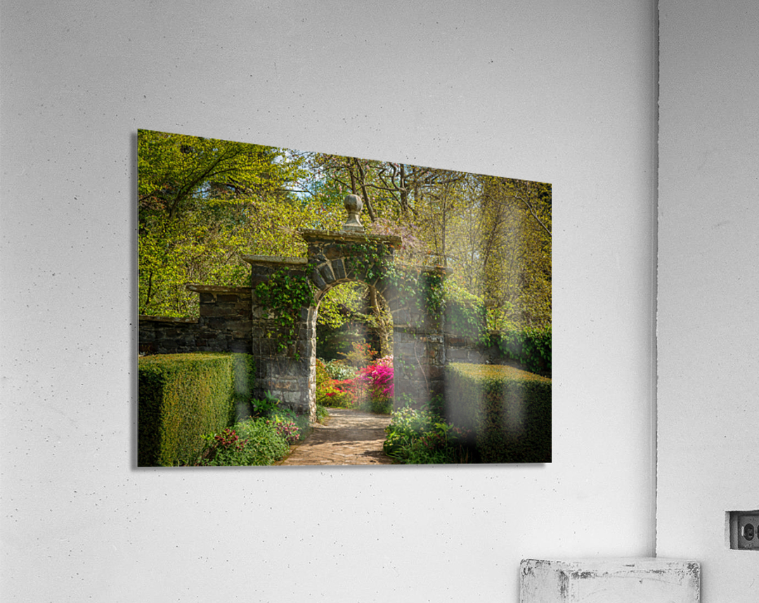 Archway frames Azaleas and Rhododendron trees in spring Acrylic Print