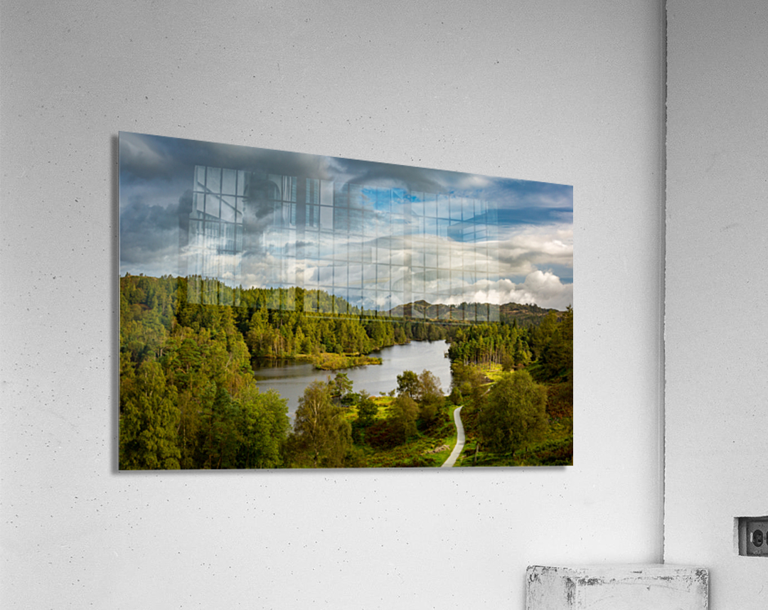 View over Tarn Hows in English Lake District Acrylic Print