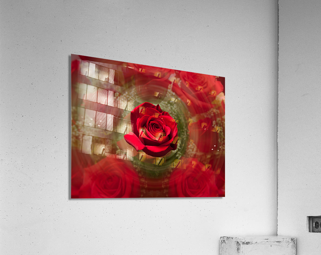 Close up of red rose bouquet with roses Acrylic Print