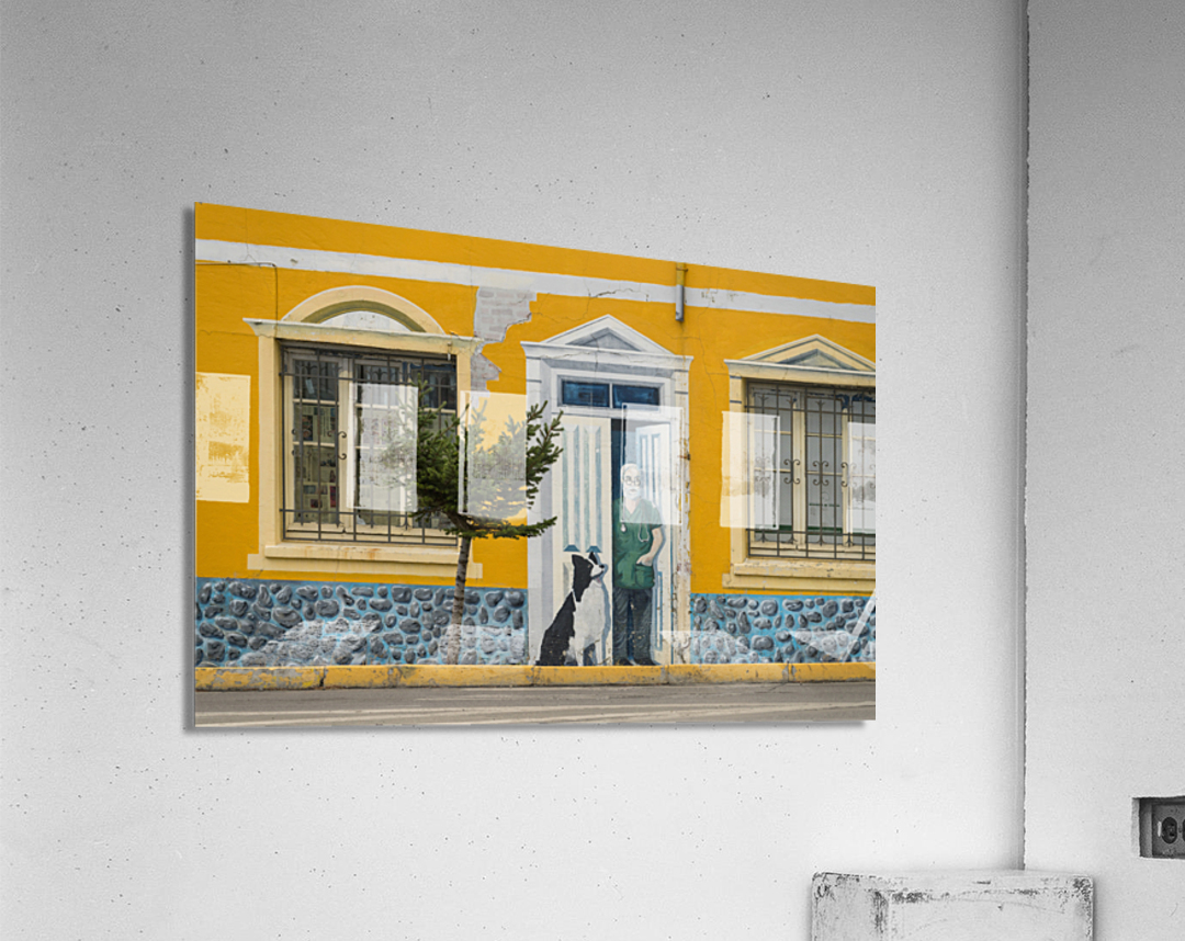 Wall mural on building in Punta Arenas in Chile Acrylic Print