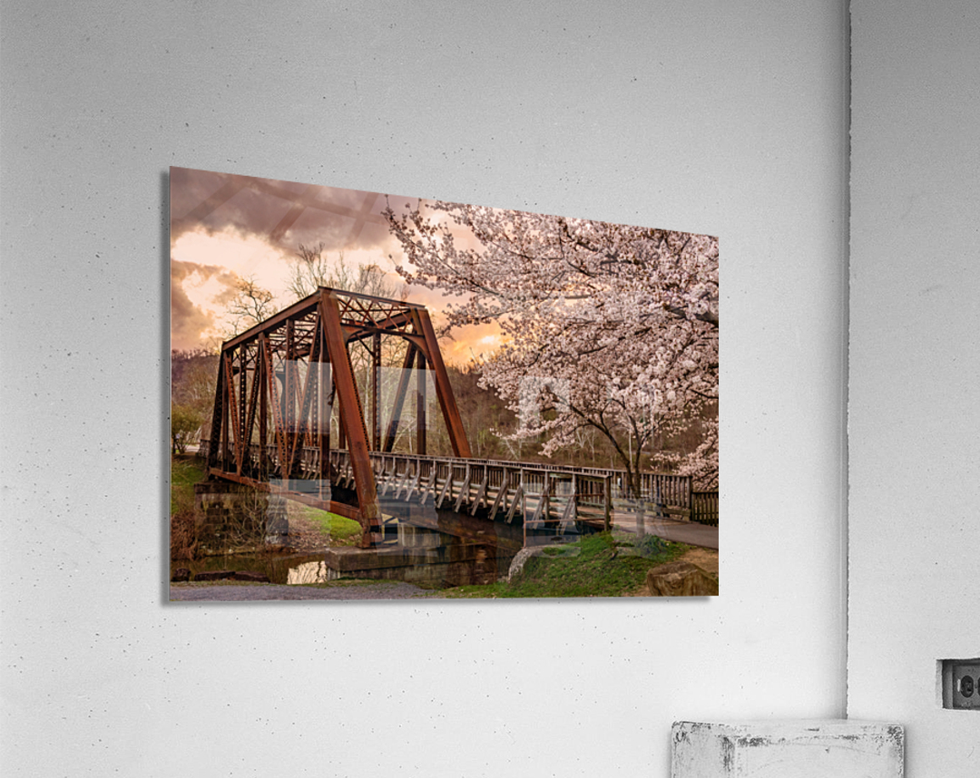 Sunset behind cherry blossoms in Morgantown WV Impression acrylique