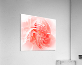 Delicate close up of petals of a carnation  Impression acrylique
