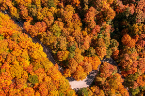 Aerial view of hairpin bend in Smugglers Notch