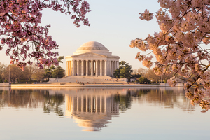 Beautiful early morning Jefferson Memorial with pastel colors