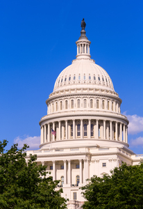Dome of the Capitol building in Washington DC