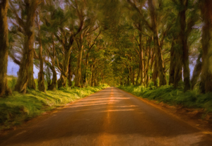 Painting of Tree Tunnel on Kauai
