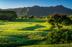 Early morning light on garden island of Kauai