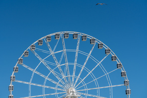White ferris wheel on Steel Pier in Atlantic City
