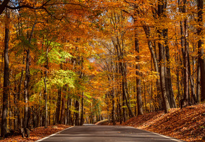 Road leading to Coopers Rock state park