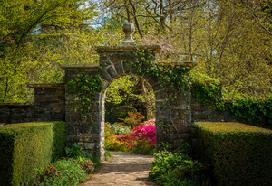 Archway frames Azaleas and Rhododendron trees in spring