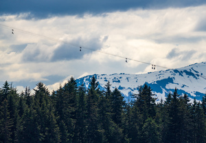 Tourists in zip line harnesses zoom down the mountain at Icy Str