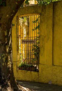 Window to courtyard of antique shop in Colonia del Sacramento
