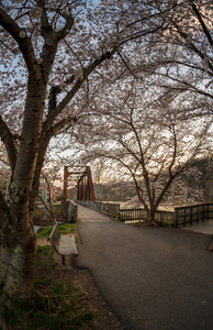 Steel girder bridge carries the bike walking trail over Deckers 