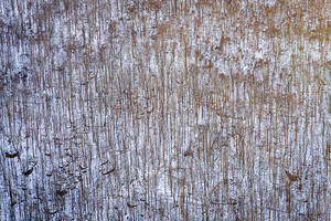 Rocky snow covered hillside at Coopers Rock at sunset