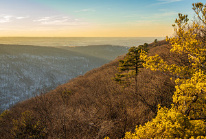 Cheat River Canyon view at Coopers Rock on winter afternoon