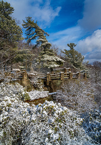 Coopers Rock overlook covered in winter snow near Morgantown
