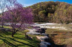 Bench view of Valley Falls on a bright spring morning