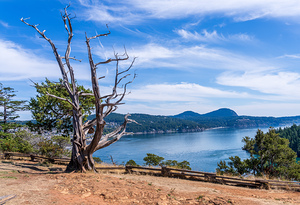 View from the Washington Park overlook over the town of Anacorte