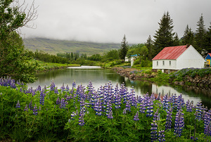 Peaceful scene in Seydisfjordur of river flowing from misty moun