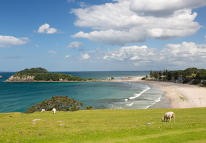 Hike around The Mount at Tauranga in NZ