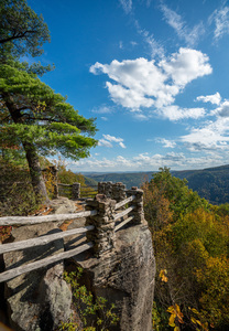 Coopers Rock state park overlook vertical format