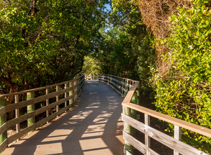 Florida Keys raised walkway 