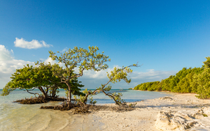 Florida Keys Annes Beach
