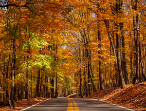 Road leading to Coopers Rock state park