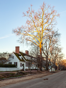 Old houses in Colonial Williamsburg