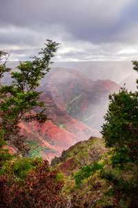 Vertical Waimea Canyon Kauai 