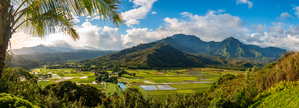 Hanalei valley from Princeville overlook Kauai