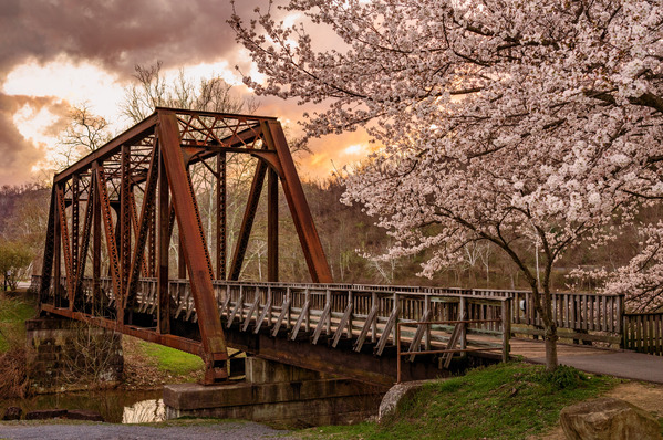 Steel girder bridge carries the bike walking trail over Deckers  by Steve Heap