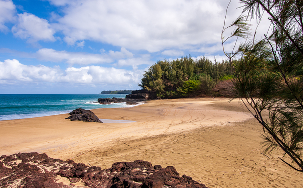 View towards Hanalei at Lumahai by Steve Heap