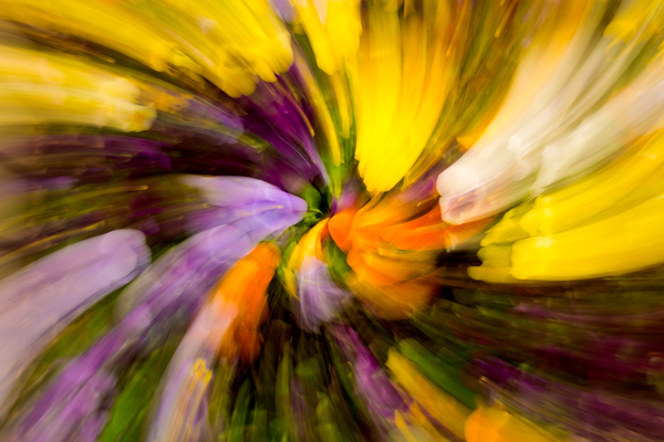 Flower blossoms in curling pattern by Steve Heap