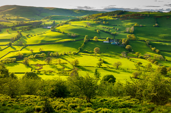Typical english or welsh farming country by Steve Heap