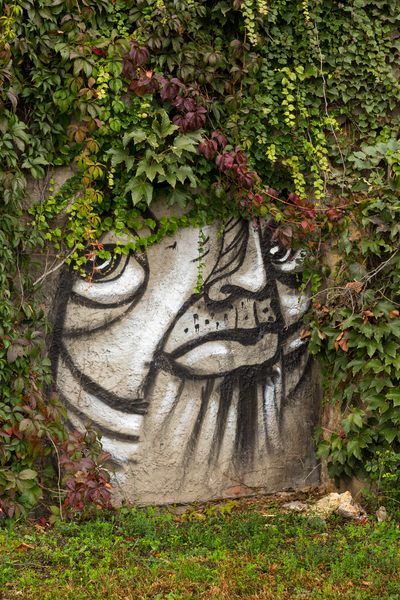 Graffiti on wall of rock like face of cat Print
